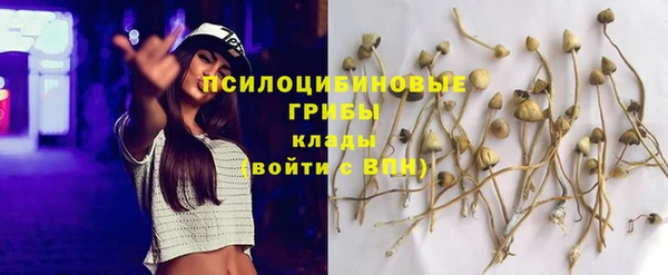 скорость Алексеевка