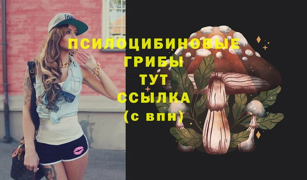 прущие грибы Абдулино