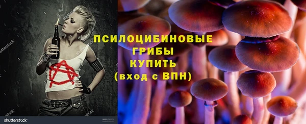 первитин Алексин